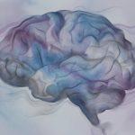 Diagram showing how stress alters memory through cortisol, the hippocampus, and the amygdala