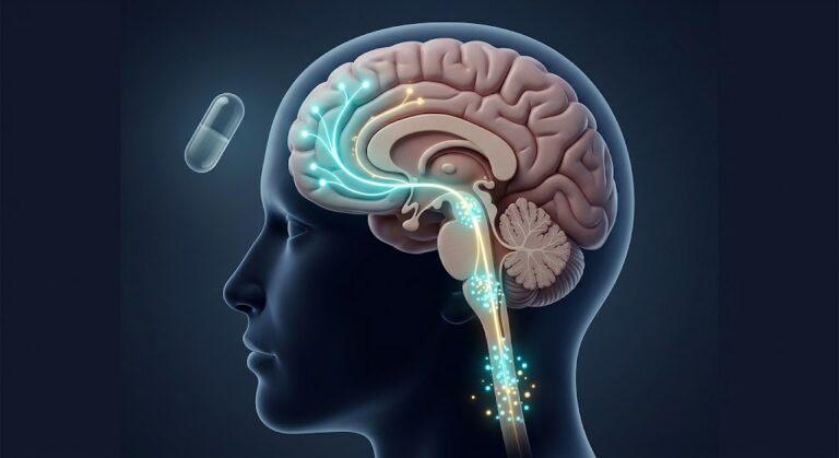 Placebo effect illustration showing the brain descending pain modulatory pathway releasing endogenous opioids